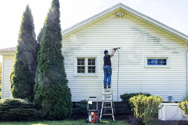 Best Soft Washing for Delicate Surfaces in Hillsborough, NC
